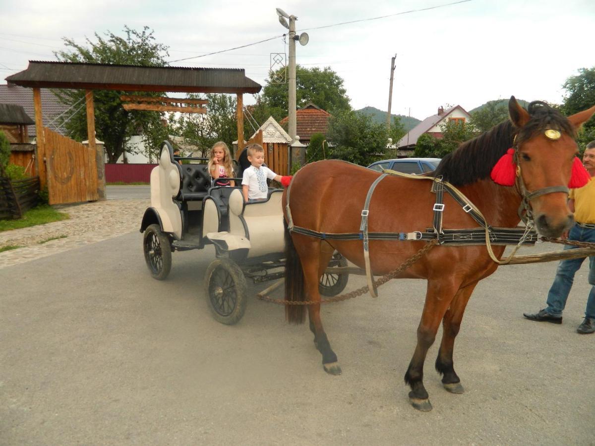 Guest house Pidkova чан сауна приймаємо групи до 70людей